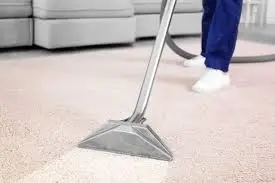 Professional carpet steam cleaning South Florida