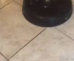 Marble floor cleaning and polishing South Florida